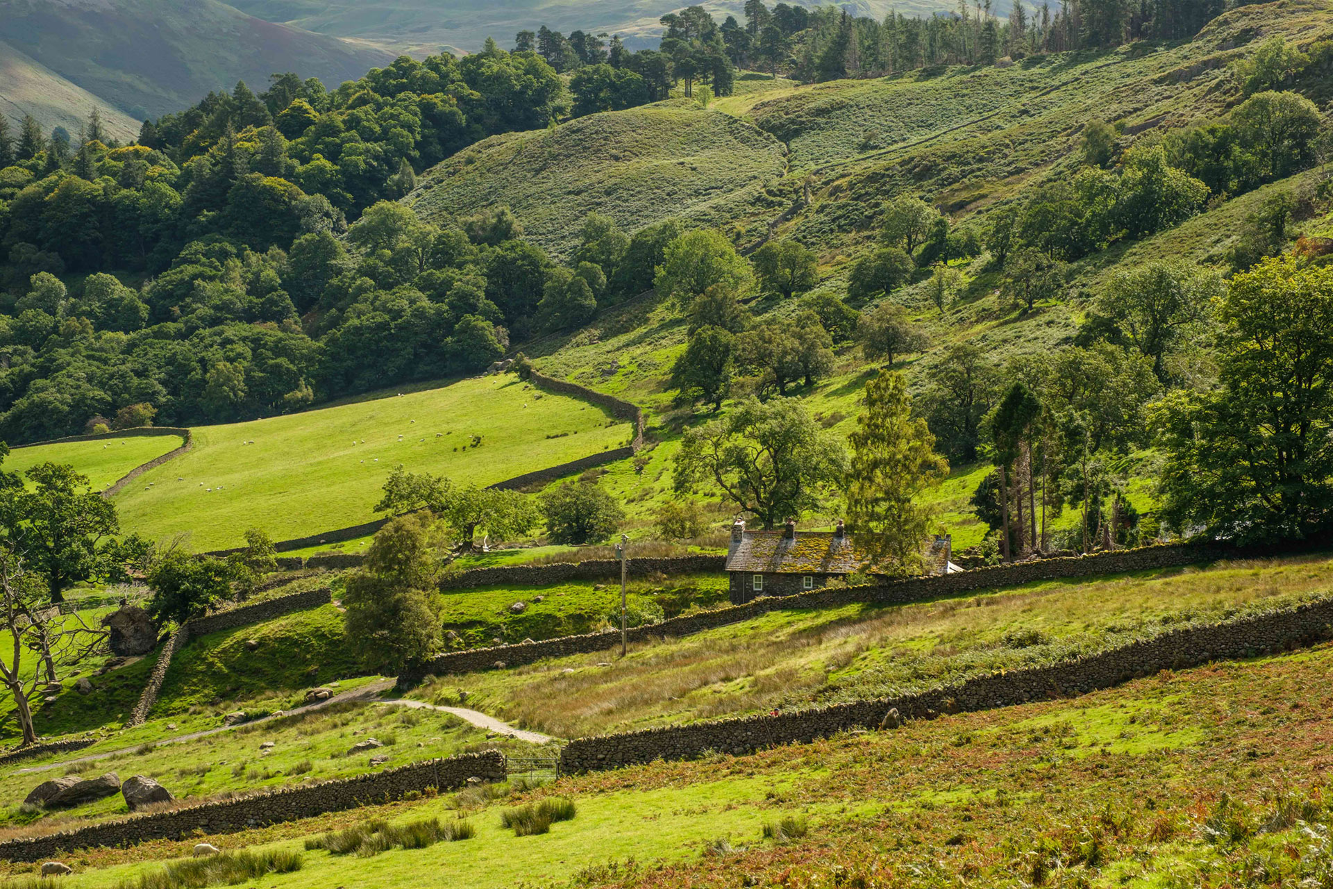 Glenridding
